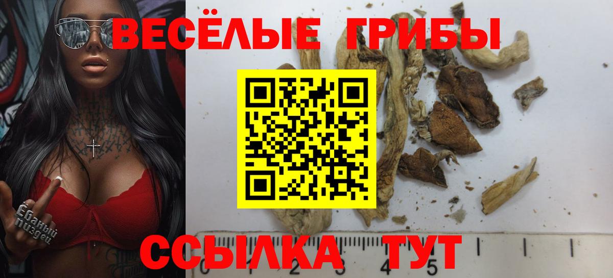 Галлюциногенные грибы ЛСД  Вход с VPN  Можайск  Псилоцибиновые грибы Magic Shrooms 