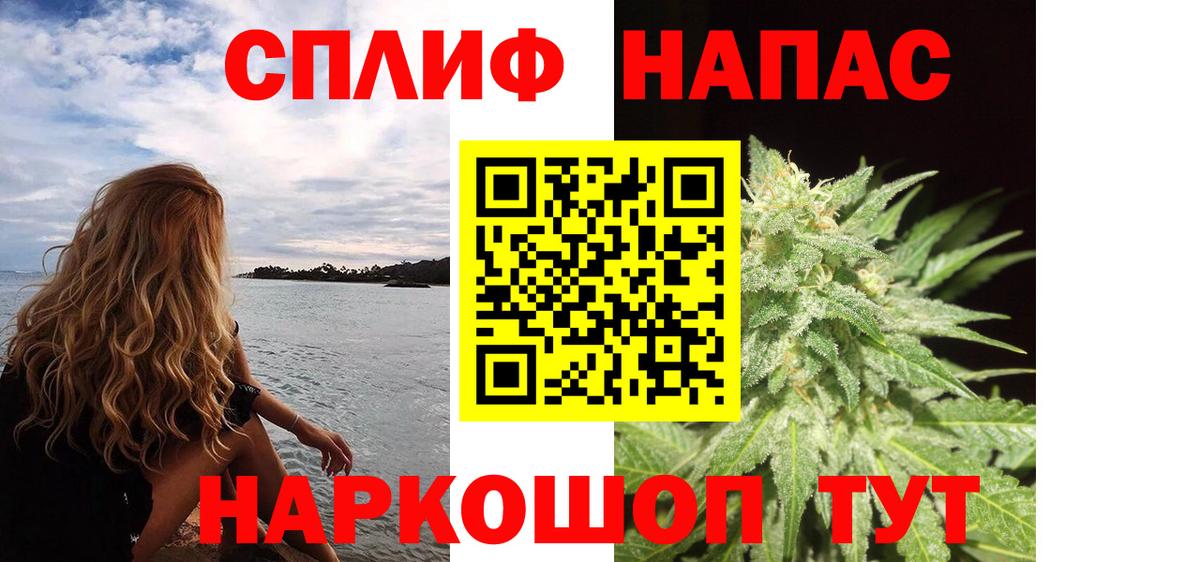 Канабис план Можайск